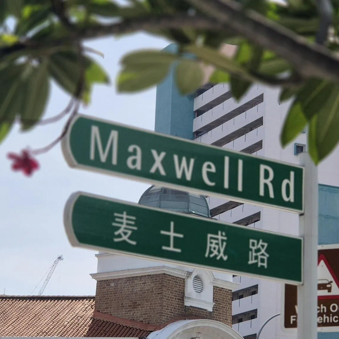 麦士威路是一条有历史分量的街道。（陈爱薇摄）