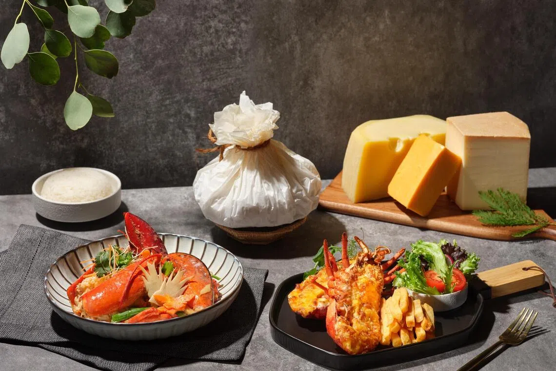 姜葱纸包龙虾（左）和芝士白汁焗龙虾，中西风味各具特色。（酒店提供）
