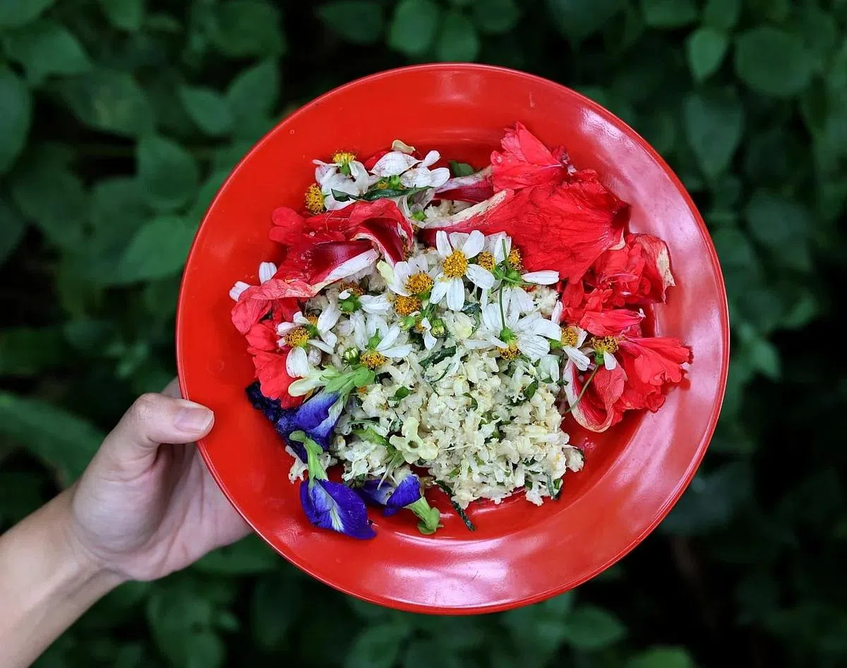 翁丽珠积极推广，并让农场访客亲手制作nasi ulam（野菜香叶拌饭）。（龙国雄摄）