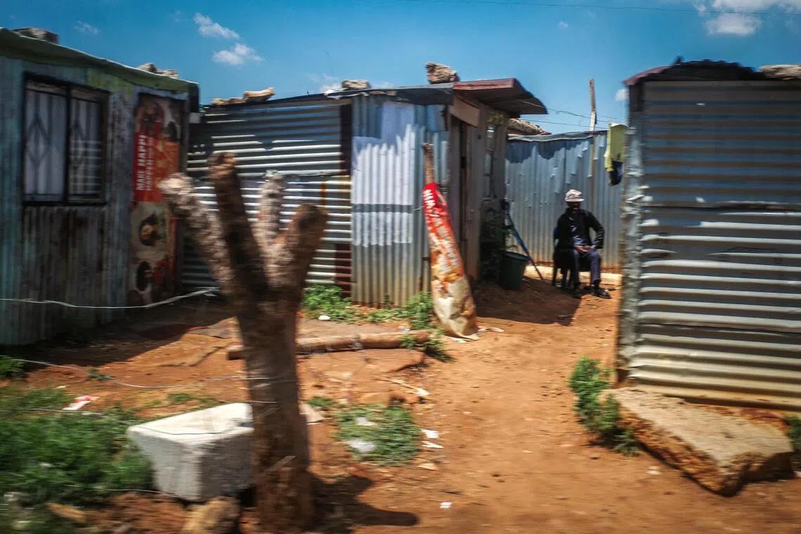 孤独的身影静坐着，在尘土飞扬的世界里，寻得片刻宁静与安息。（叶振忠摄）