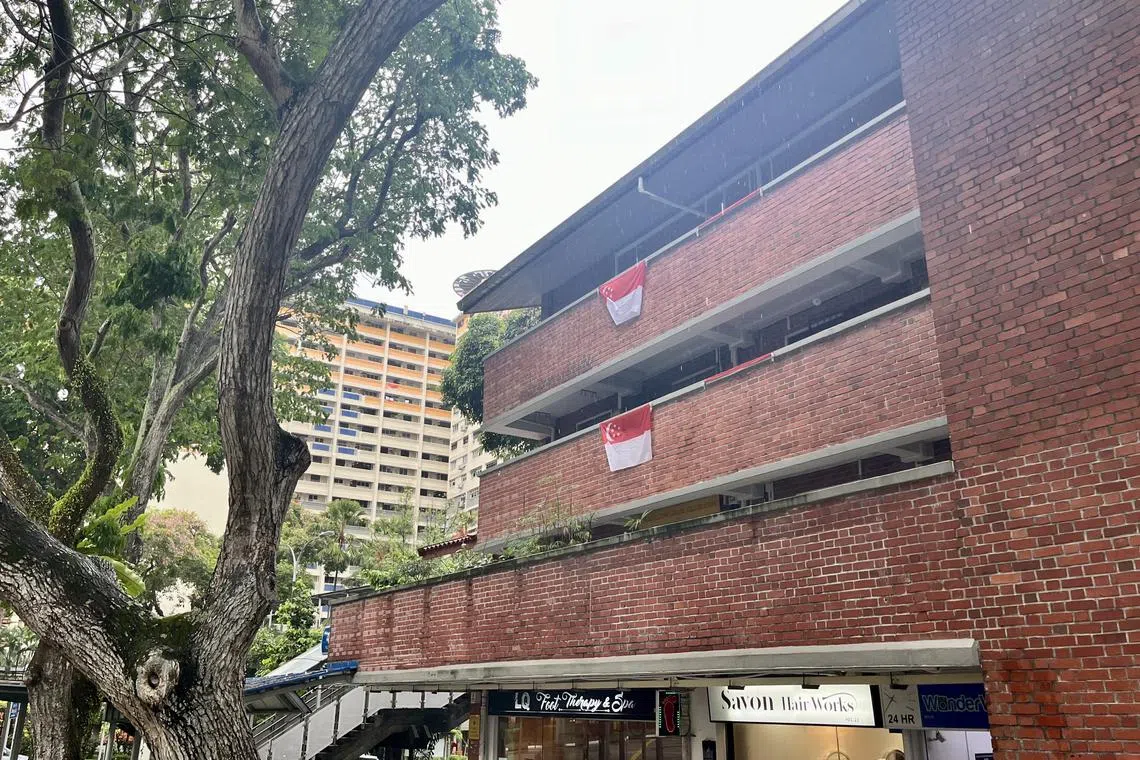 毗邻荷兰通道熟食中心的四座组屋清一色铺上红砖外墙，朴实得来抢眼。（陈映蓁摄）