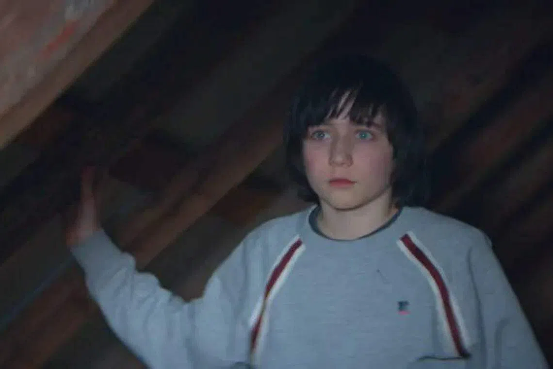 11岁的视障儿子因为失明而影响证词可靠性。（互联网）