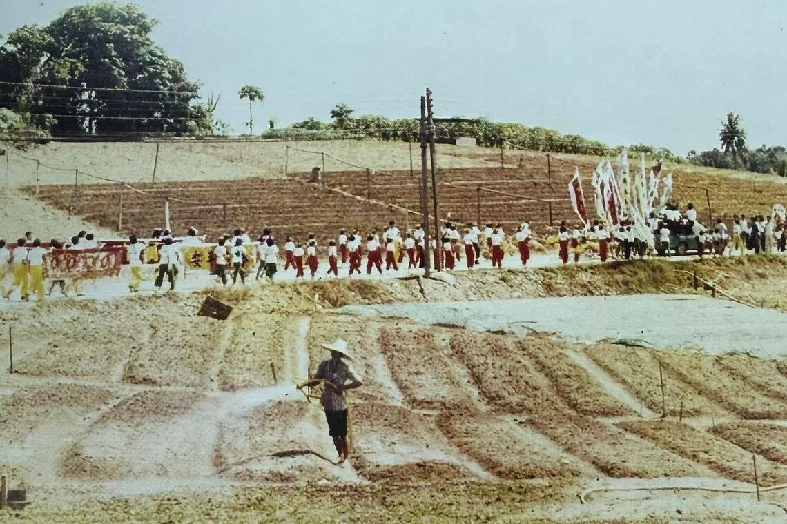 万礼泽光村位于新加坡北部乌鲁三巴旺。图为东山庙庙会期间，游行经过一片菜园的景象。（取自《东山庙三府大人》特刊）