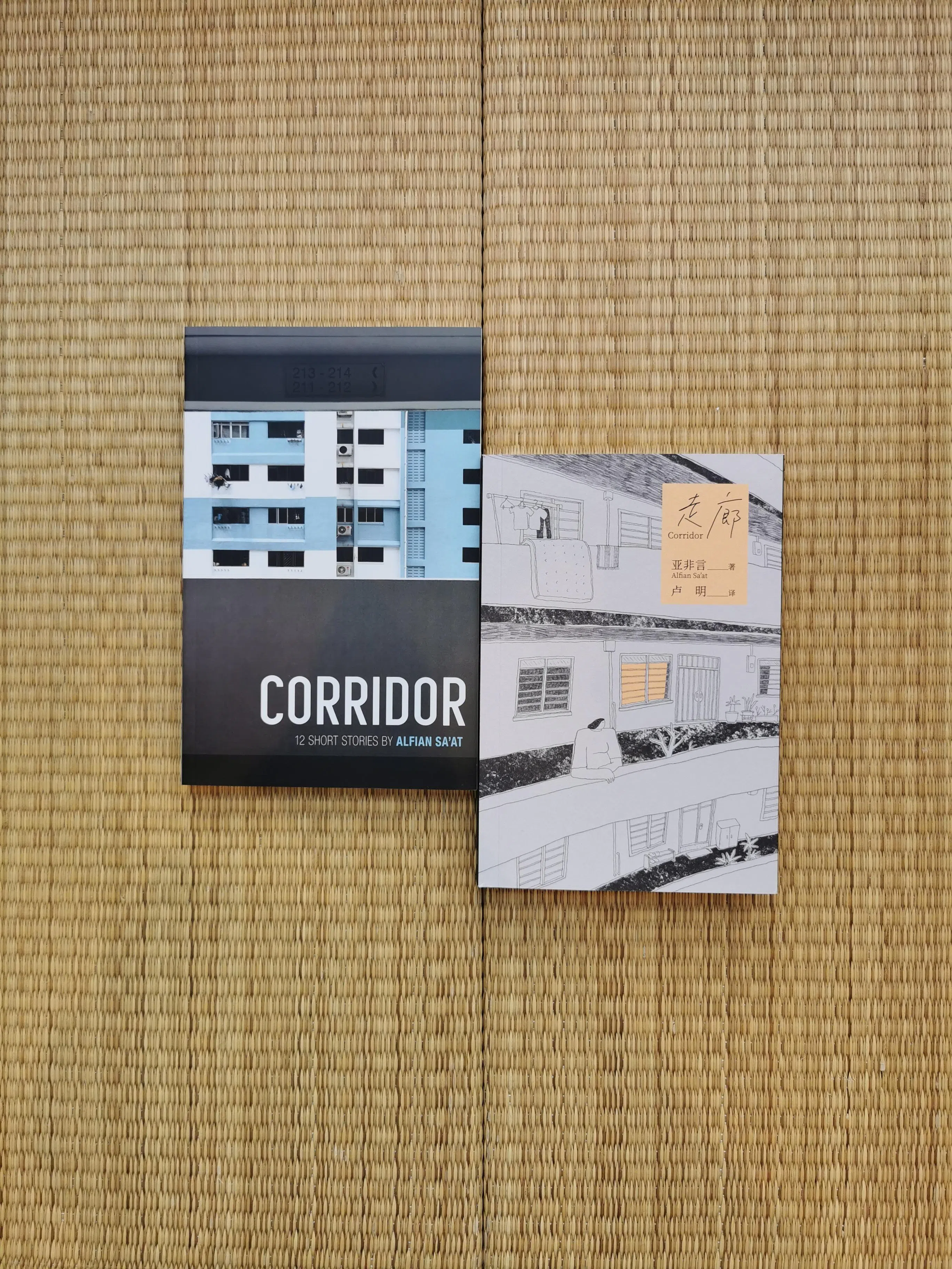 本地作家亚非言的短篇小说集《走廊》，以冷峻动人的笔触，书写组屋居民的酸甜苦辣。从左到右分别为英文原作与中译本。（档案照）