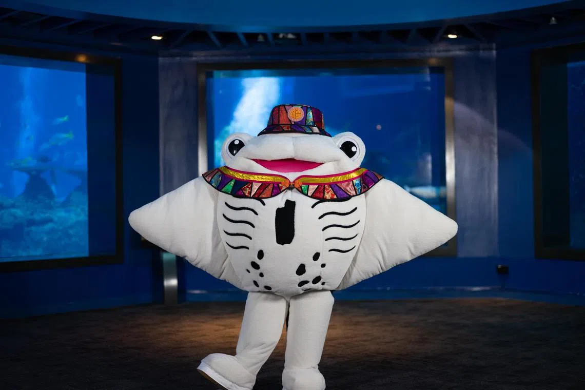 穿上喜庆新装的蝠鲼吉祥物将在海洋馆与游客拍照，为节日增添欢声笑语。（圣淘沙名胜世界提供）