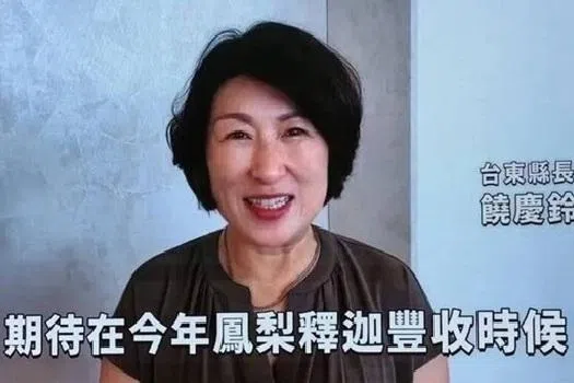 台东县长视频参与海峡论坛恐被查 国民党批民进党搞双标