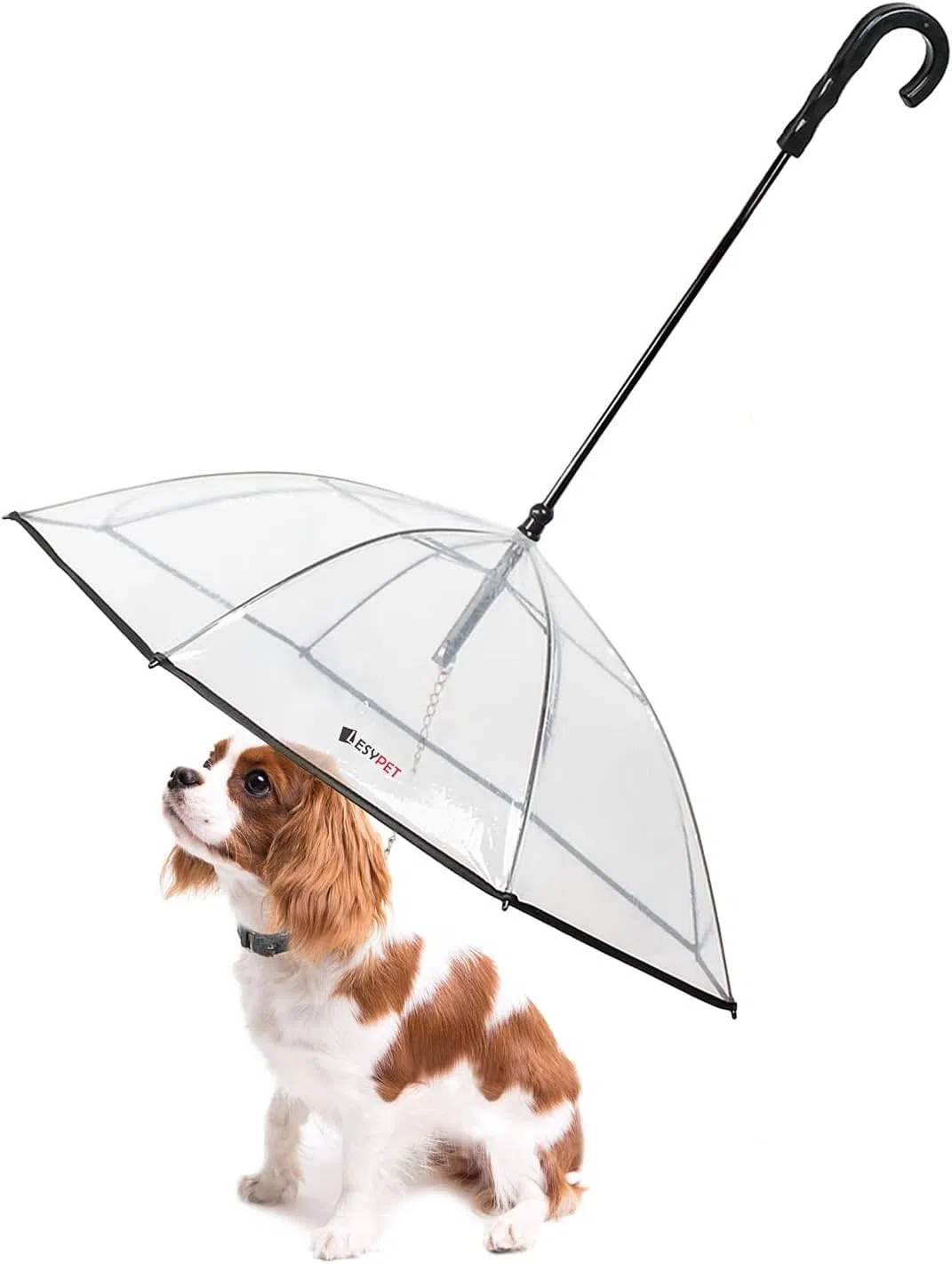 有了宠物雨伞，“爸爸妈妈”不怕毛孩子雨天被困在家里闷坏了。（取自Lesypet与Amazon）