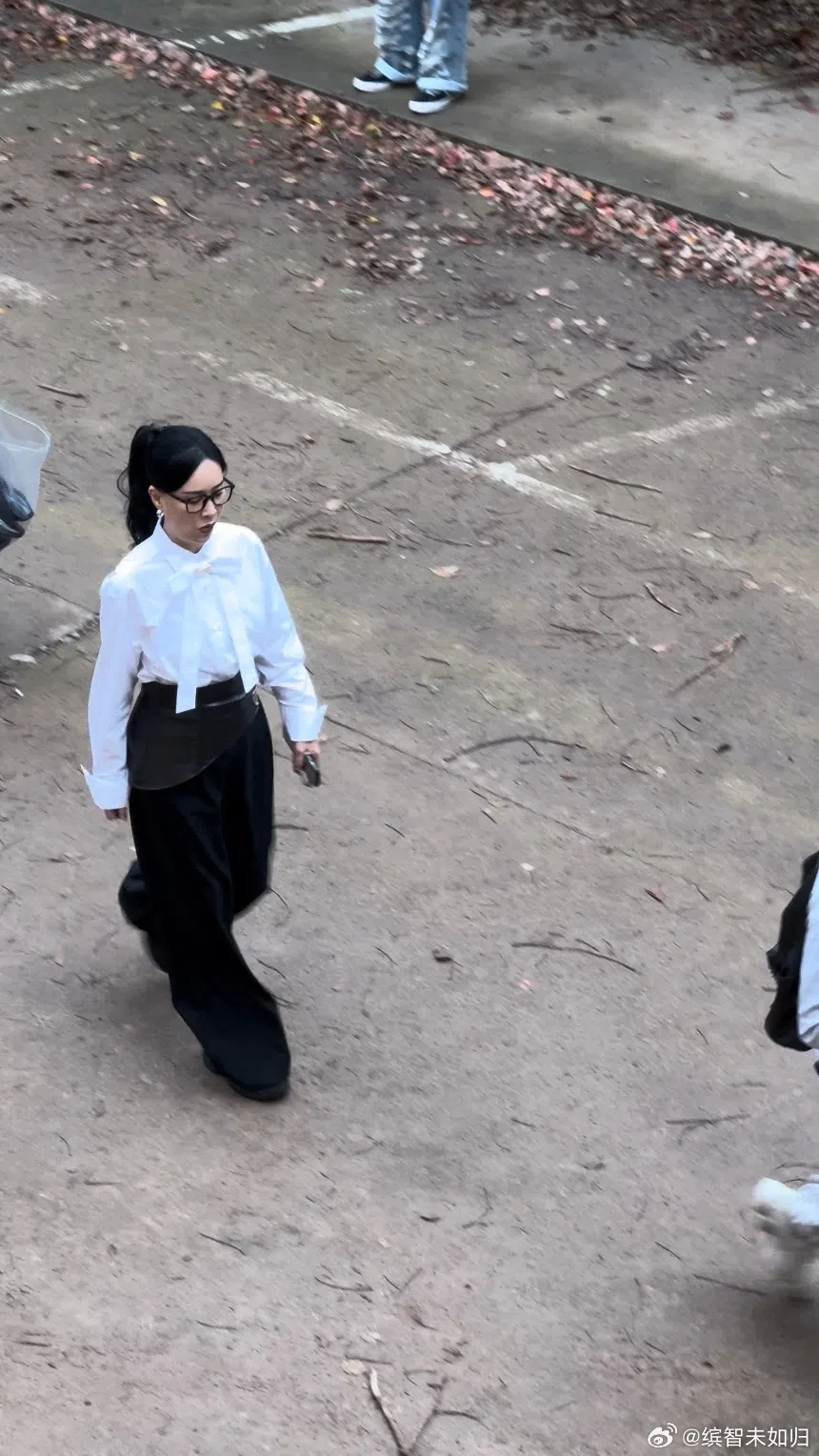 那英复出录制综艺《萌探2024》。（互联网）