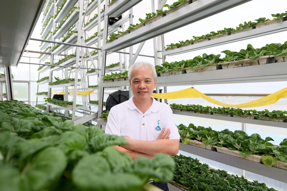 黄顺和认为未来农业应该在城市内，而不是偏远乡村。（龙国雄摄）