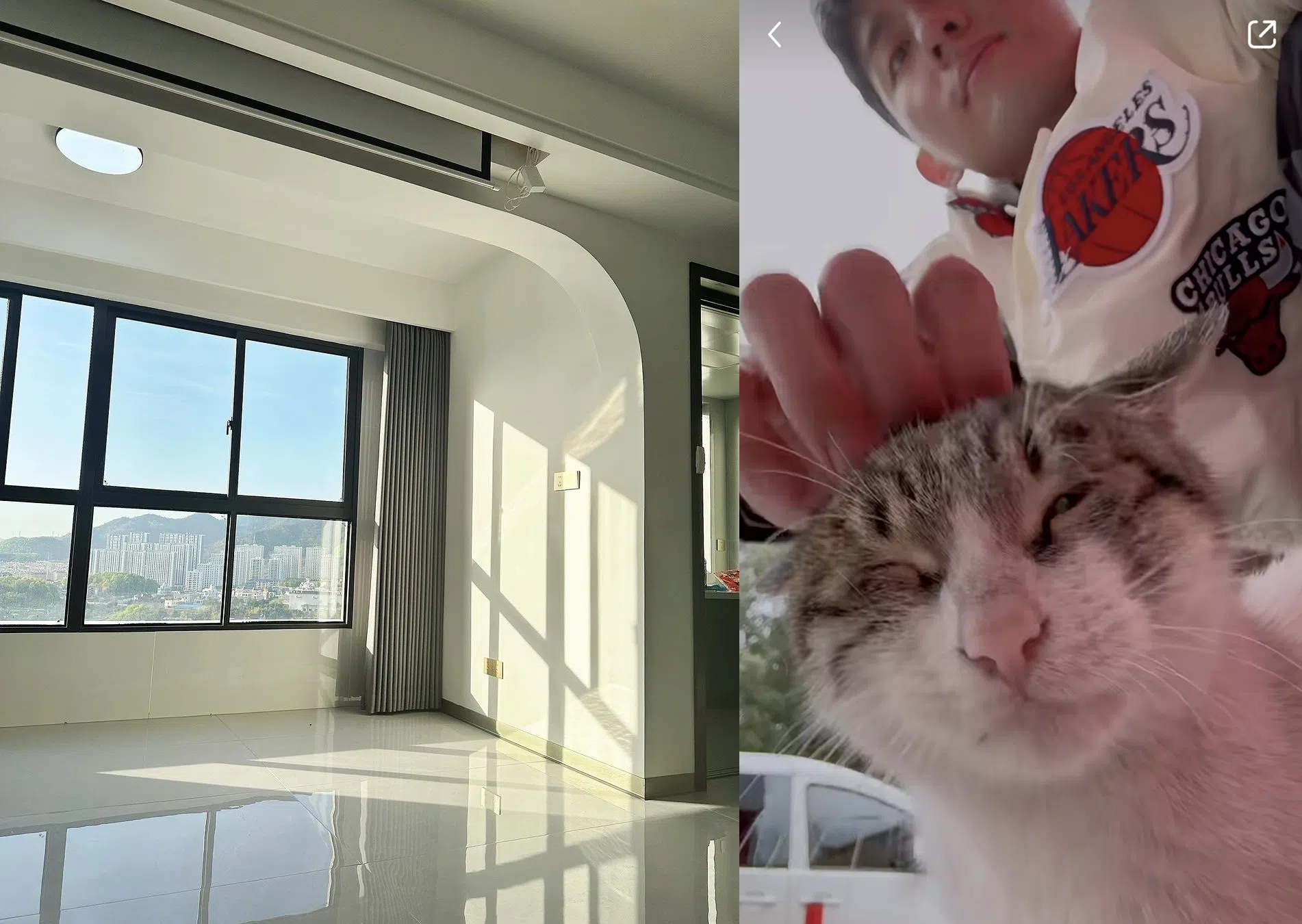 孙政在横店租住的单位采光明亮（左）。他巧遇一只怀孕的猫，交了这个“新朋友”。（取自孙政IG及小红书）