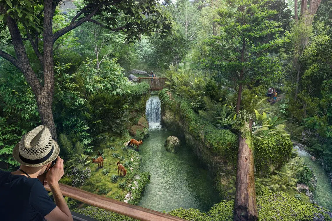 游客可在不同的动物栖息地，观察老虎、红豺、狒狒等29种动物在雨林中的自然活动生态。（万态保育集团提供）