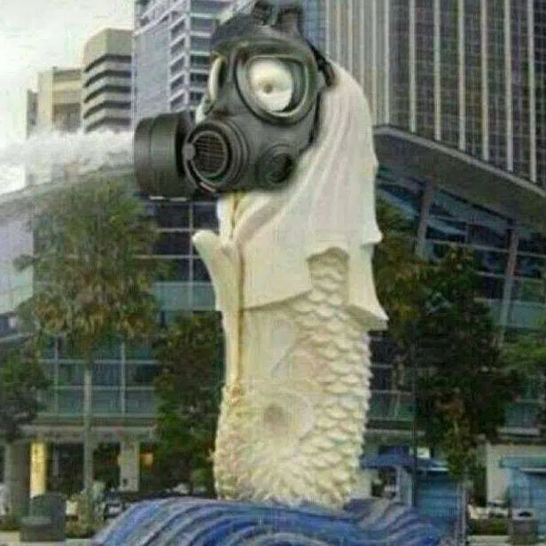 这张图对不少新加坡人来说，应该不陌生。（取自脸书）