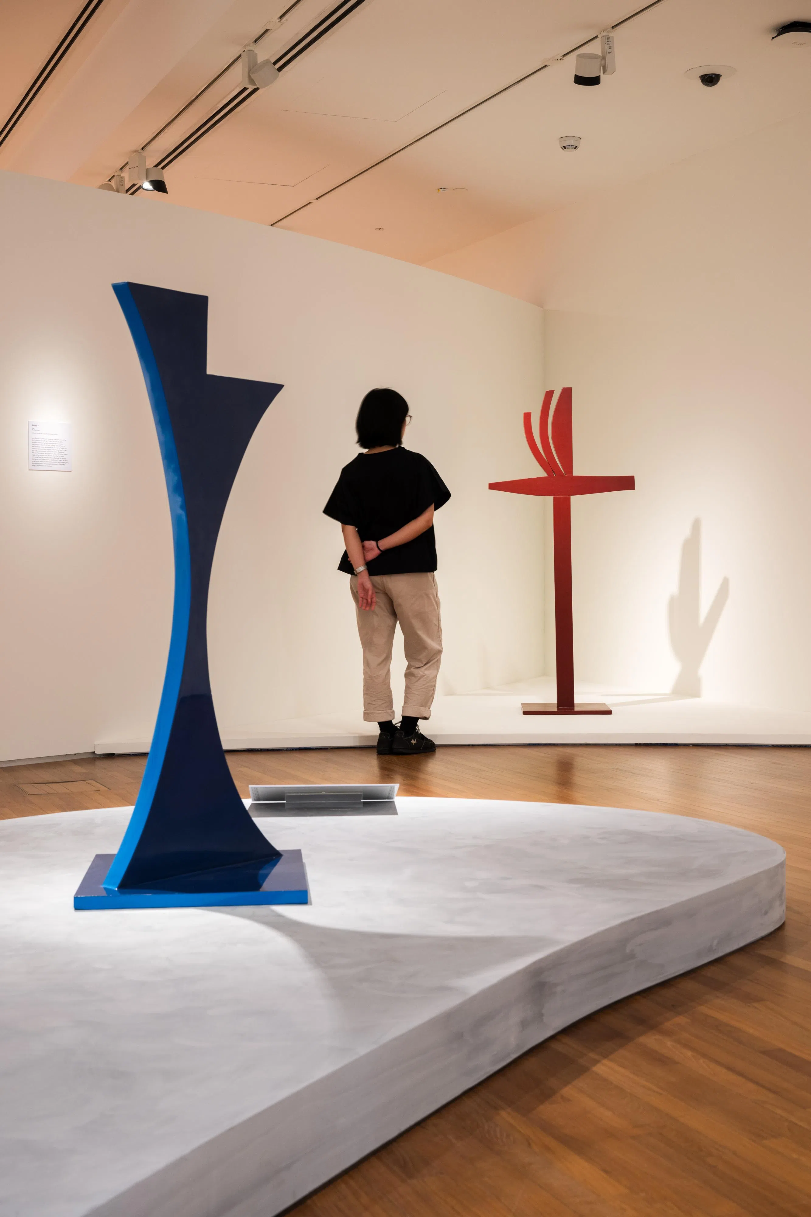 林真金彩绘钢木材《蓝调》（前）和红彩木材《婆罗洲（I）》。（国家美术馆提供）