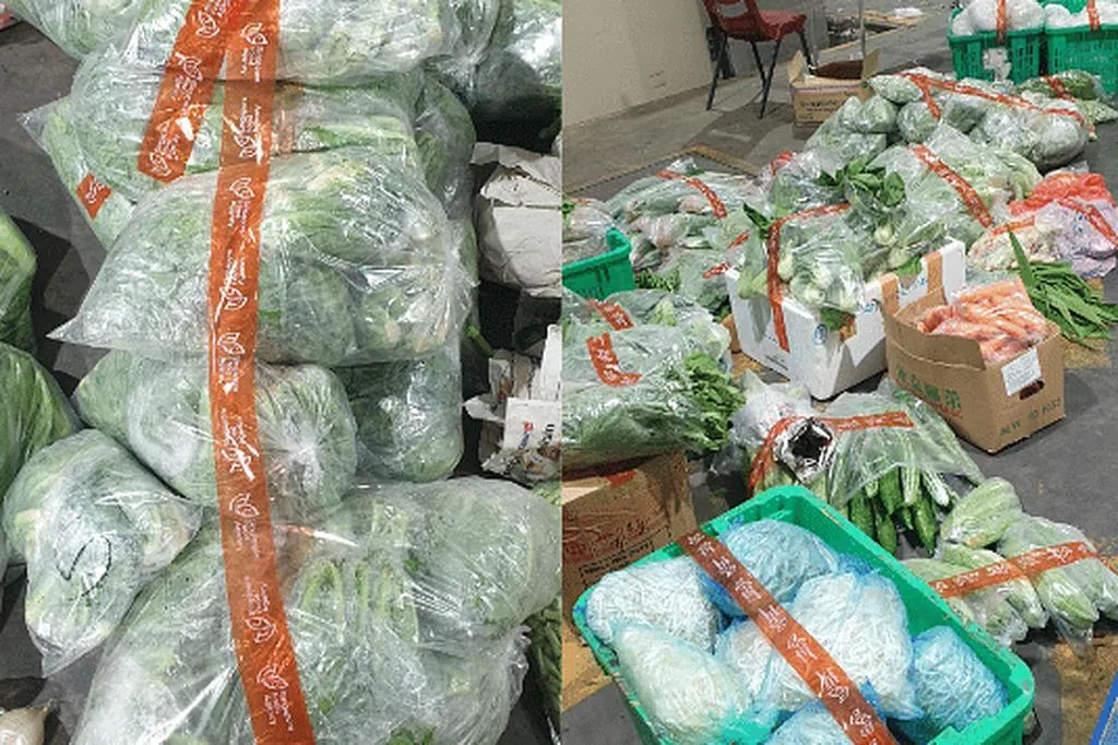 非法进口335公斤食品 蔬果公司被罚7500元