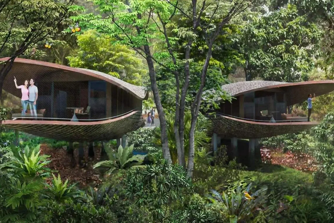 万态雨林悦榕庄从设计概念到地点都与众不同，让人期待。（悦榕庄提供）