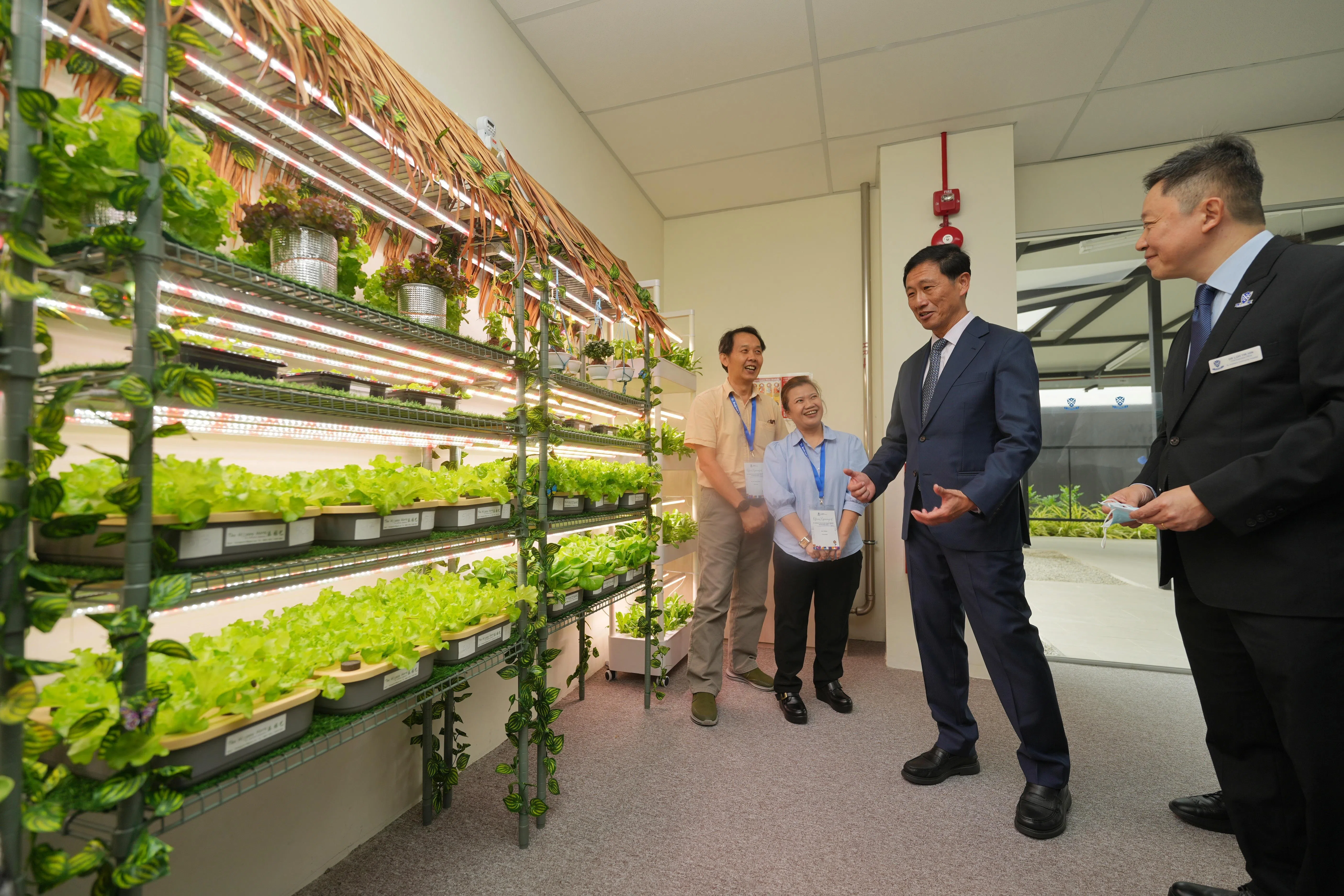 社会政策统筹部长兼卫生部长王乙康（右二）参观由园艺义工经营的水培种植区，病患可在这里栽种可食用植物，并在出院时带回家。（谢智扬摄）