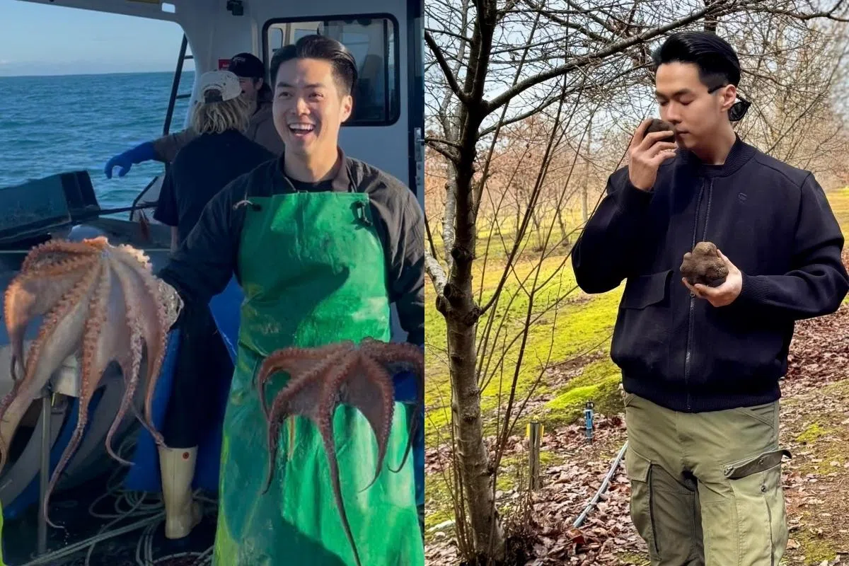 伍思翰通过“The Catch”探索食材，体验捕捞章鱼（左图）和挖掘松露（右图）的过程。（伍思翰提供）
