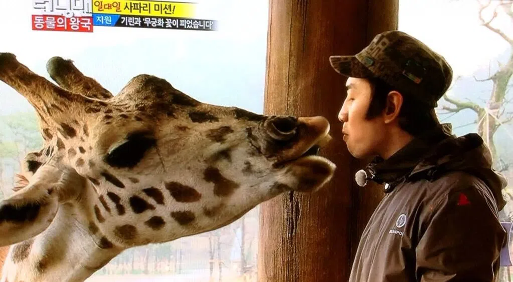 李光洙在《跑》里的“长颈鹿”形象深入人心。（视频截图）