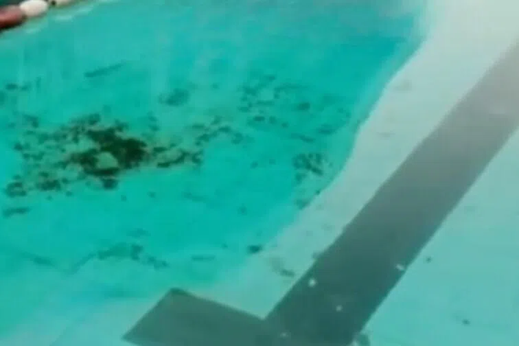 泳池投火锅底料 成都八人被采取刑事强制措施