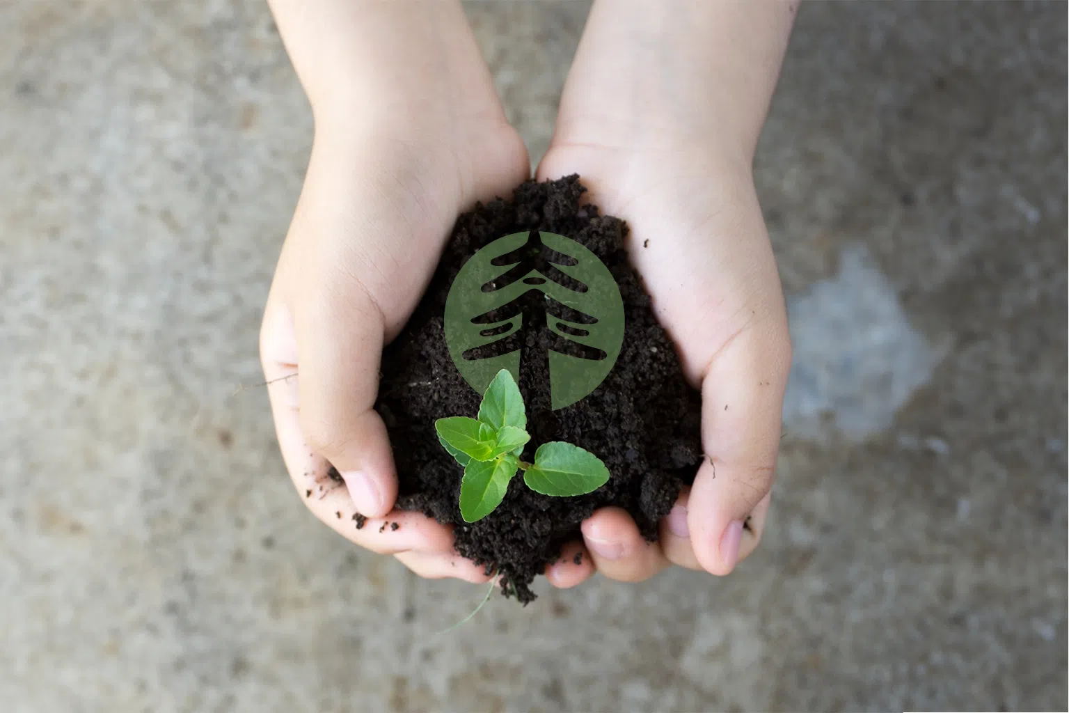 保险就是保太平，这是太平新加坡一直以来的坚守，更是对客户的承诺。（图/中国太平提供)