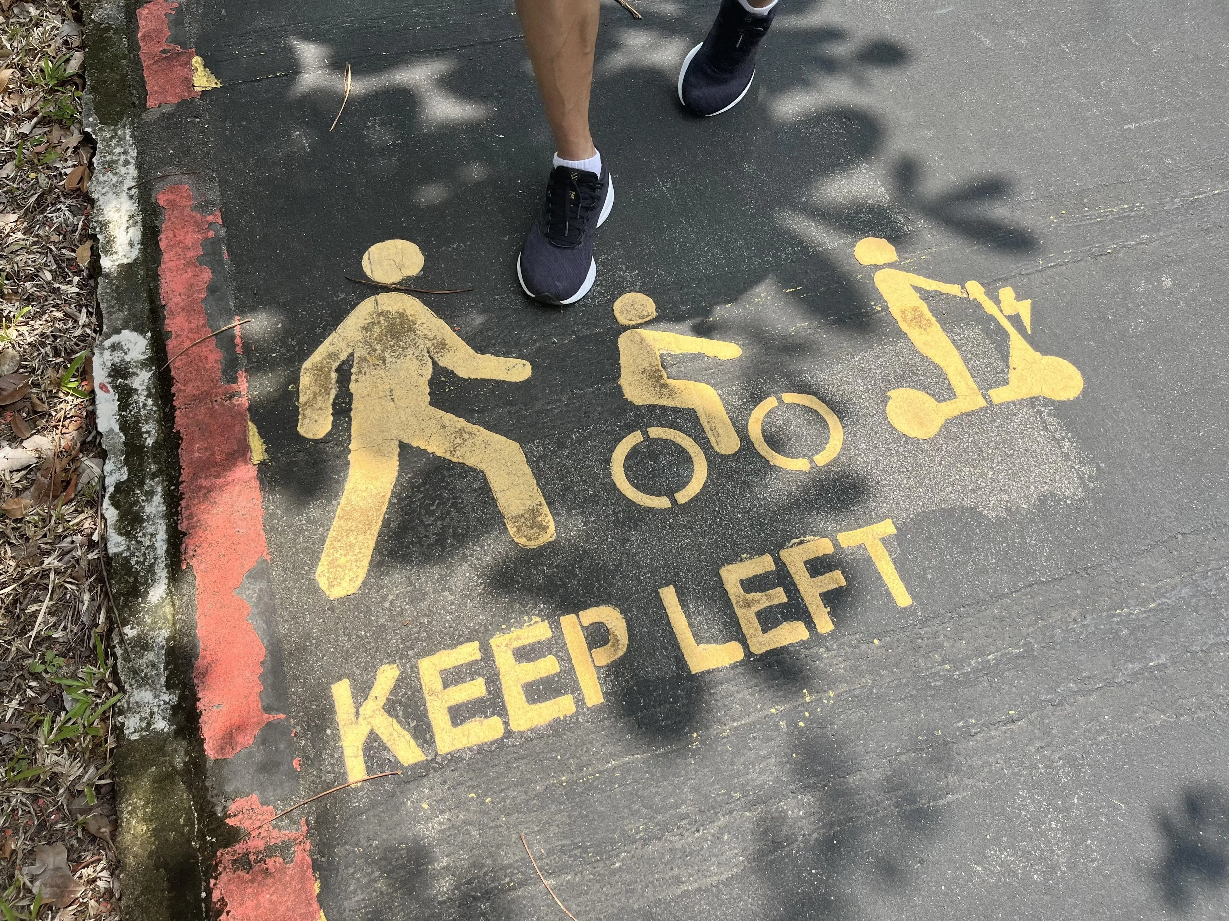 公园连道上的标识，提醒我们除了放慢速度，还要为其他路人和骑士预留空间。（陈映蓁摄）