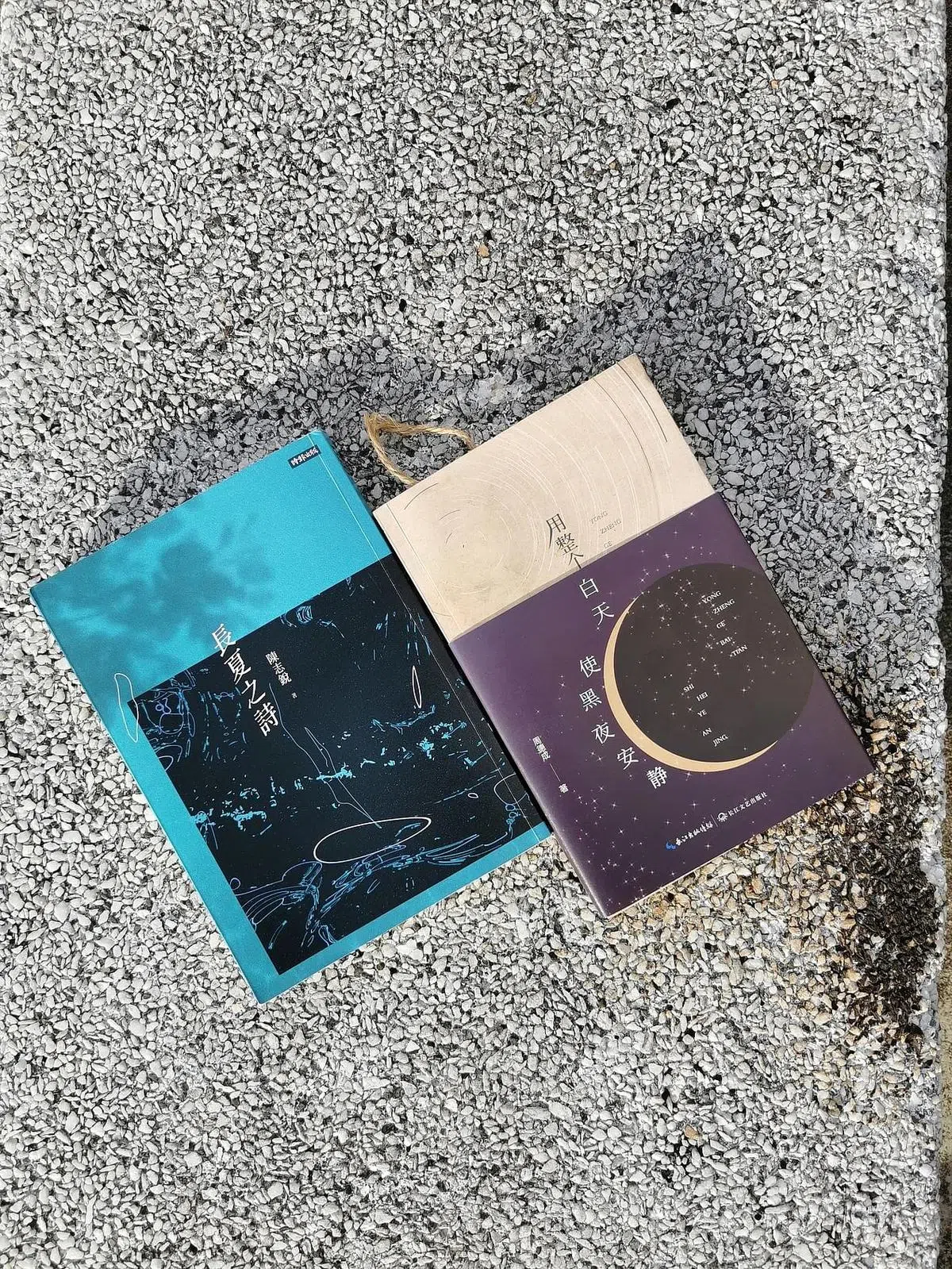 陈志锐《长夏之诗》与周德成《用整个白天使黑夜安静》。（陈宇昕摄）