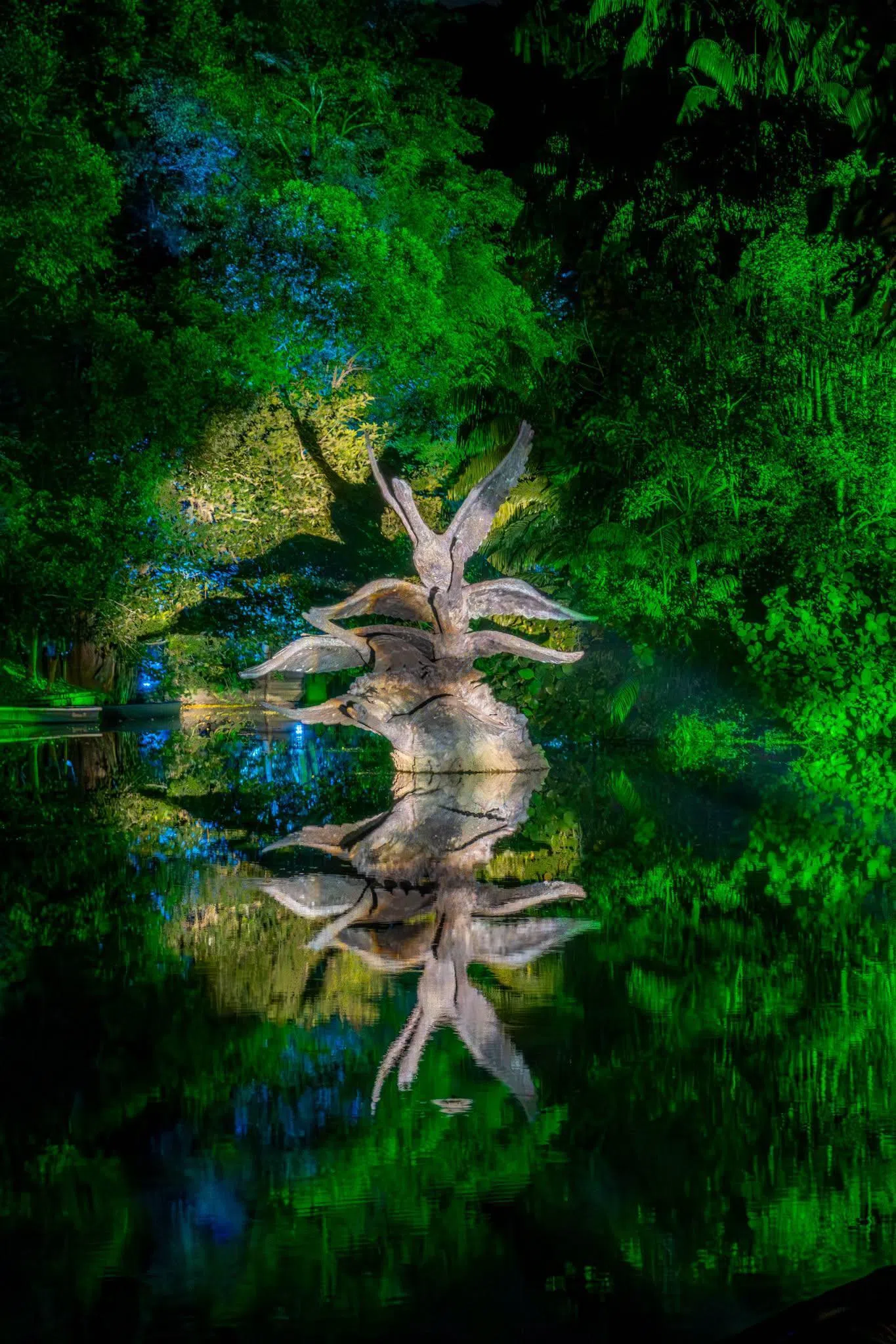 去年摄于新加坡植物园“EnlighTEN”夜间灯光展。天鹅湖旁的“飞天鹅”雕塑，在平静水面映出近乎完美的倒影。（取自李资政脸书）