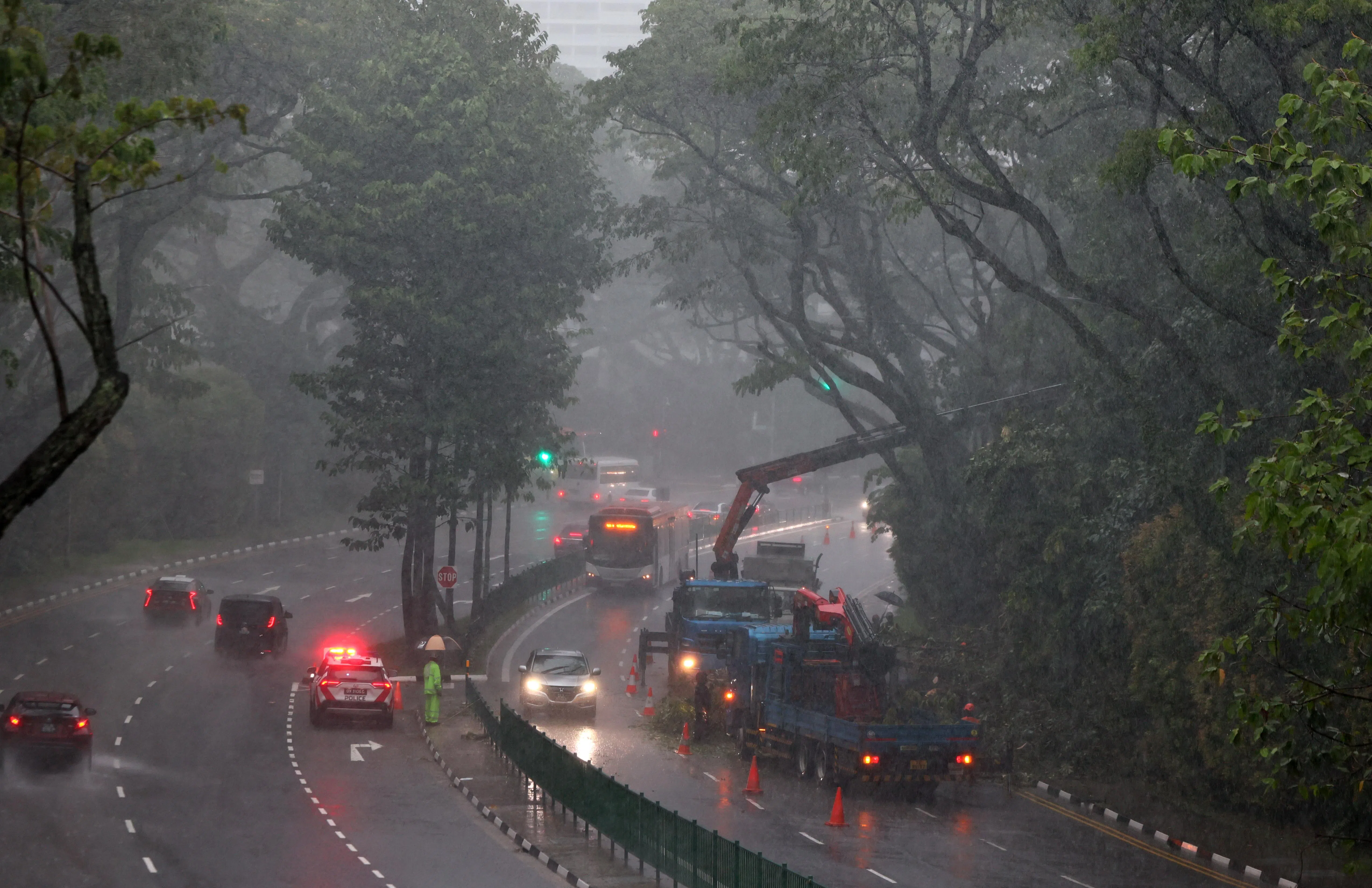 超过五名员工在大雨中将大树锯成小段。（潘丰源摄）