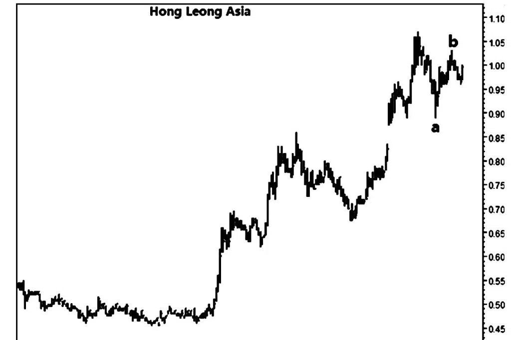 丰隆亚洲 Hong Leong Asia | 联合早报