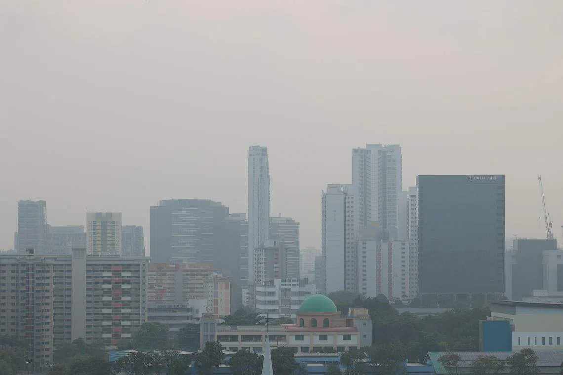 由于印尼苏门答腊岛上的火点数量增加，本地烟霾情况本周末可能恶化，环境局会开始每天提供烟霾报告。（何家俊摄）