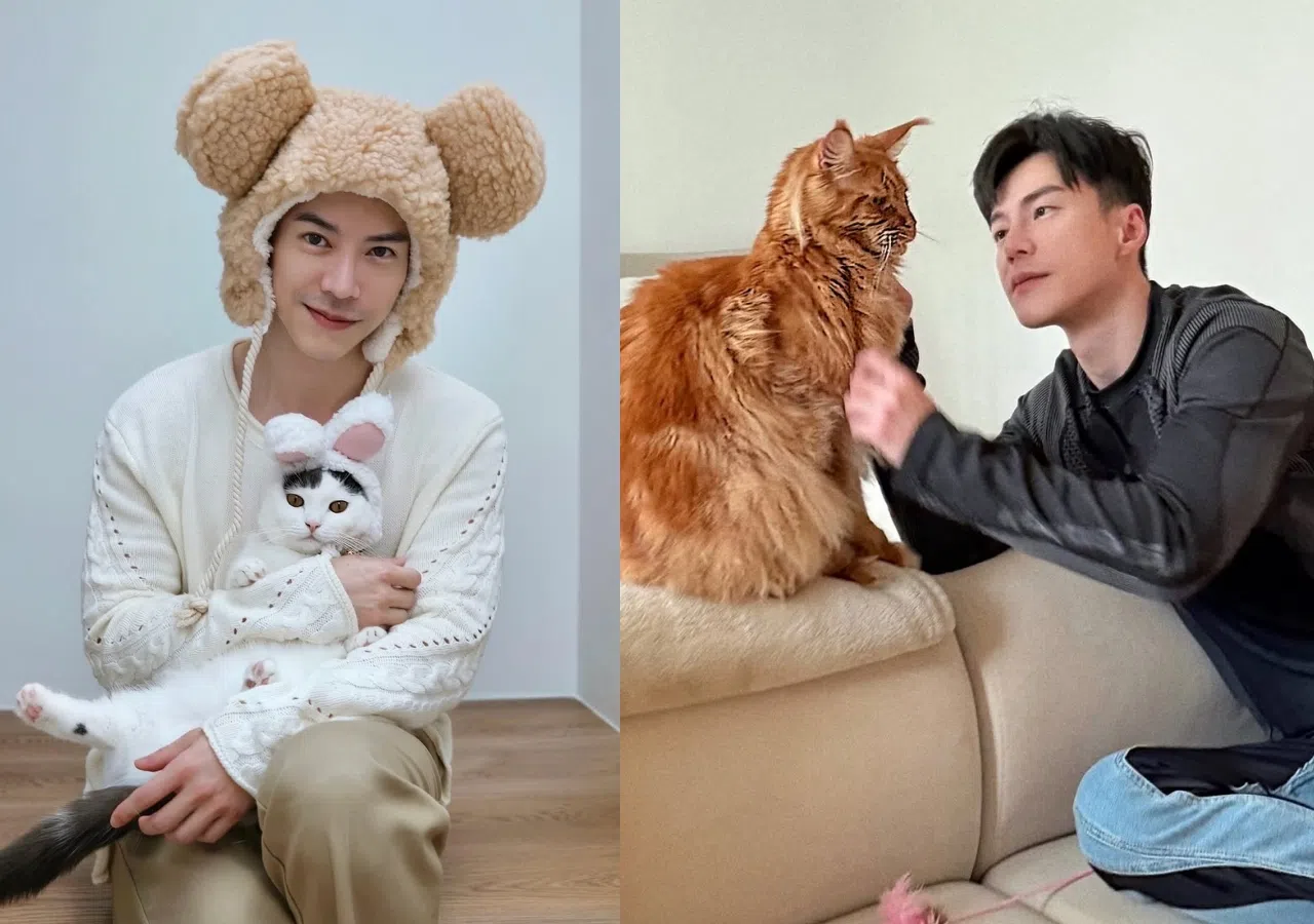 “宠猫魔人”王冠逸经常在社媒“晒猫”。（取自王冠逸IG）