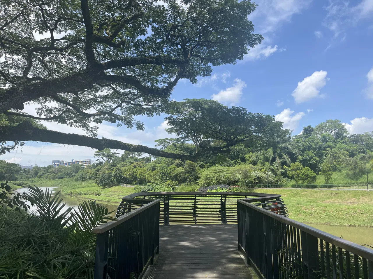 乌鲁班丹公园连道视野开阔，建有不少瞭望台。（陈映蓁摄）