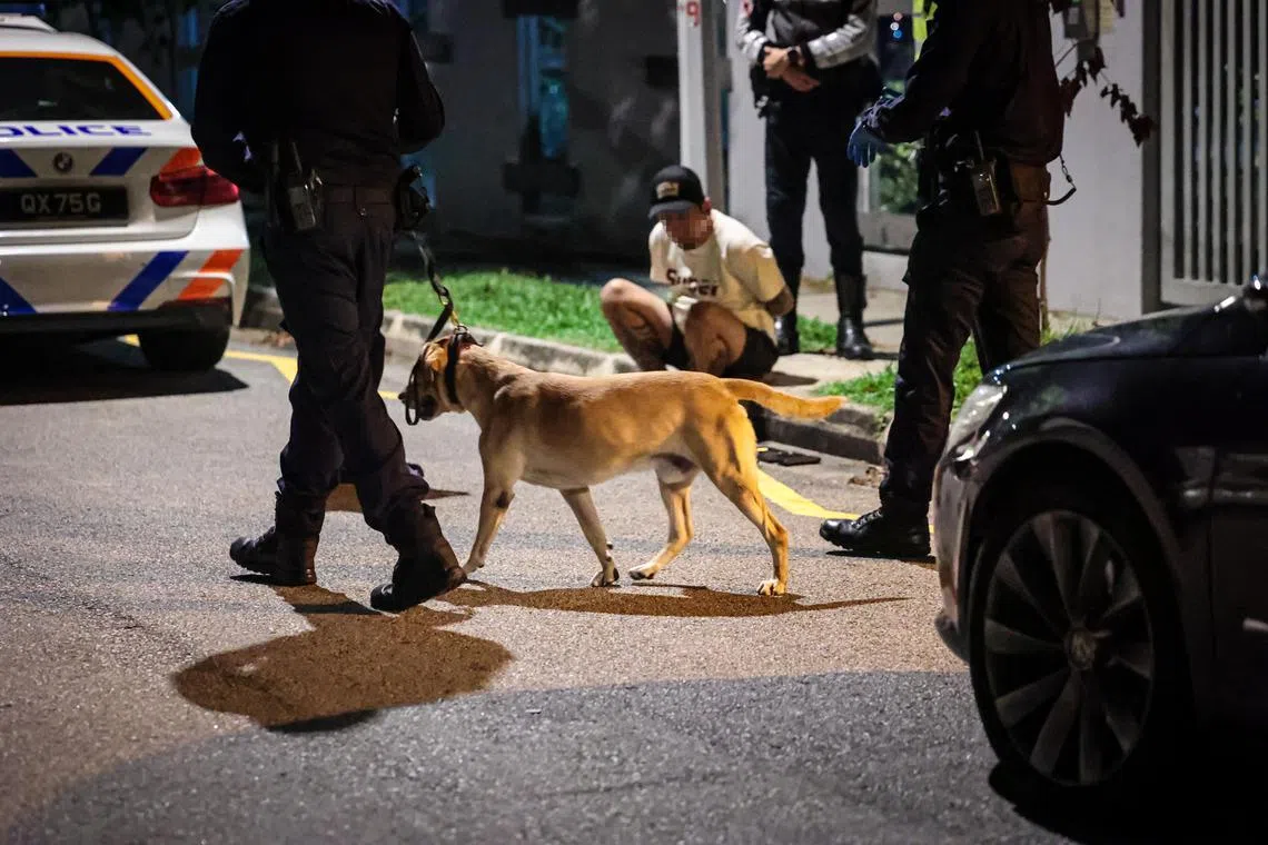 当局出动K9警犬，从车内和车尾箱搜出毒品。（张俊杰摄）