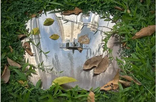 符诗云晚年用手机拍摄的作品《围》，在“画意三重奏”摄影展展出。（取自画册）