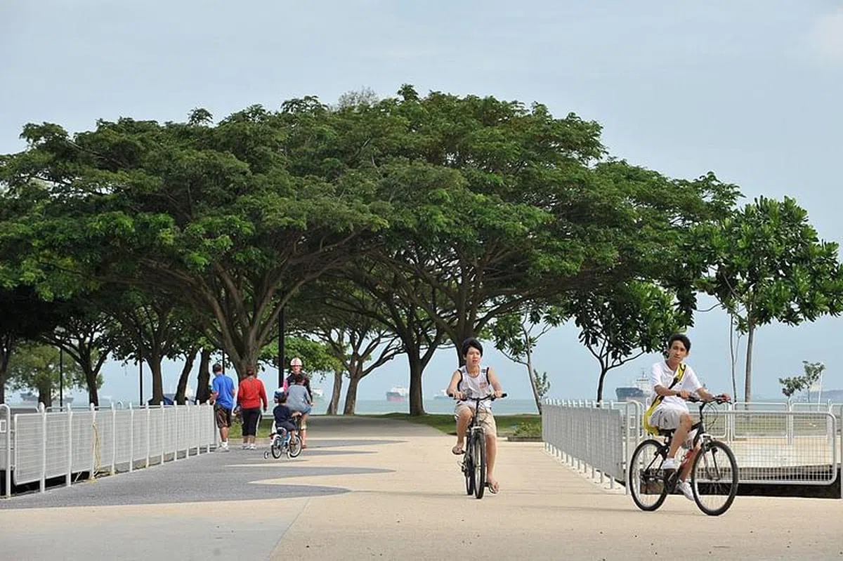 从Sky Eden@Bedok，骑行脚车只需8分钟就能到达东海岸公园。（档案照）