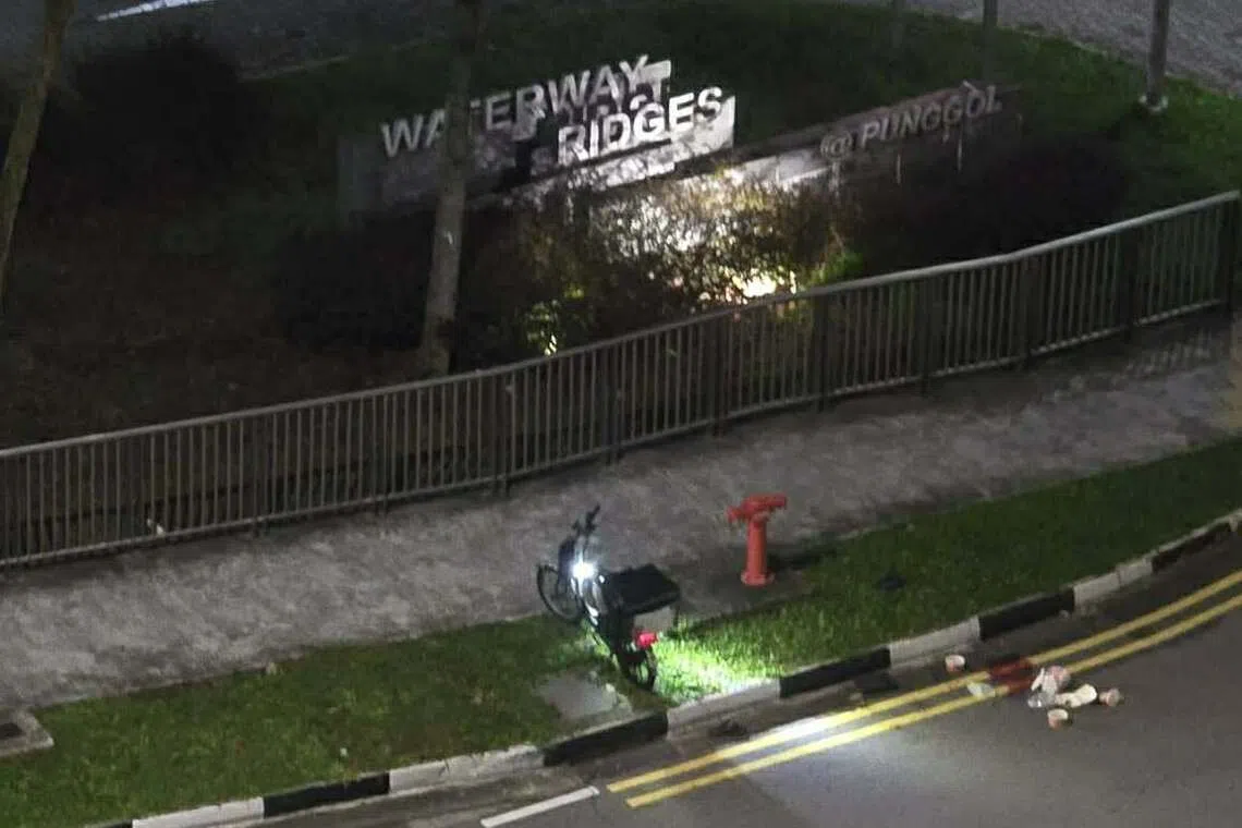 李永强的电动脚踏车停在草地上，路旁则有散落一地的食物，马路上则留有一滩血迹。（受访者提供）