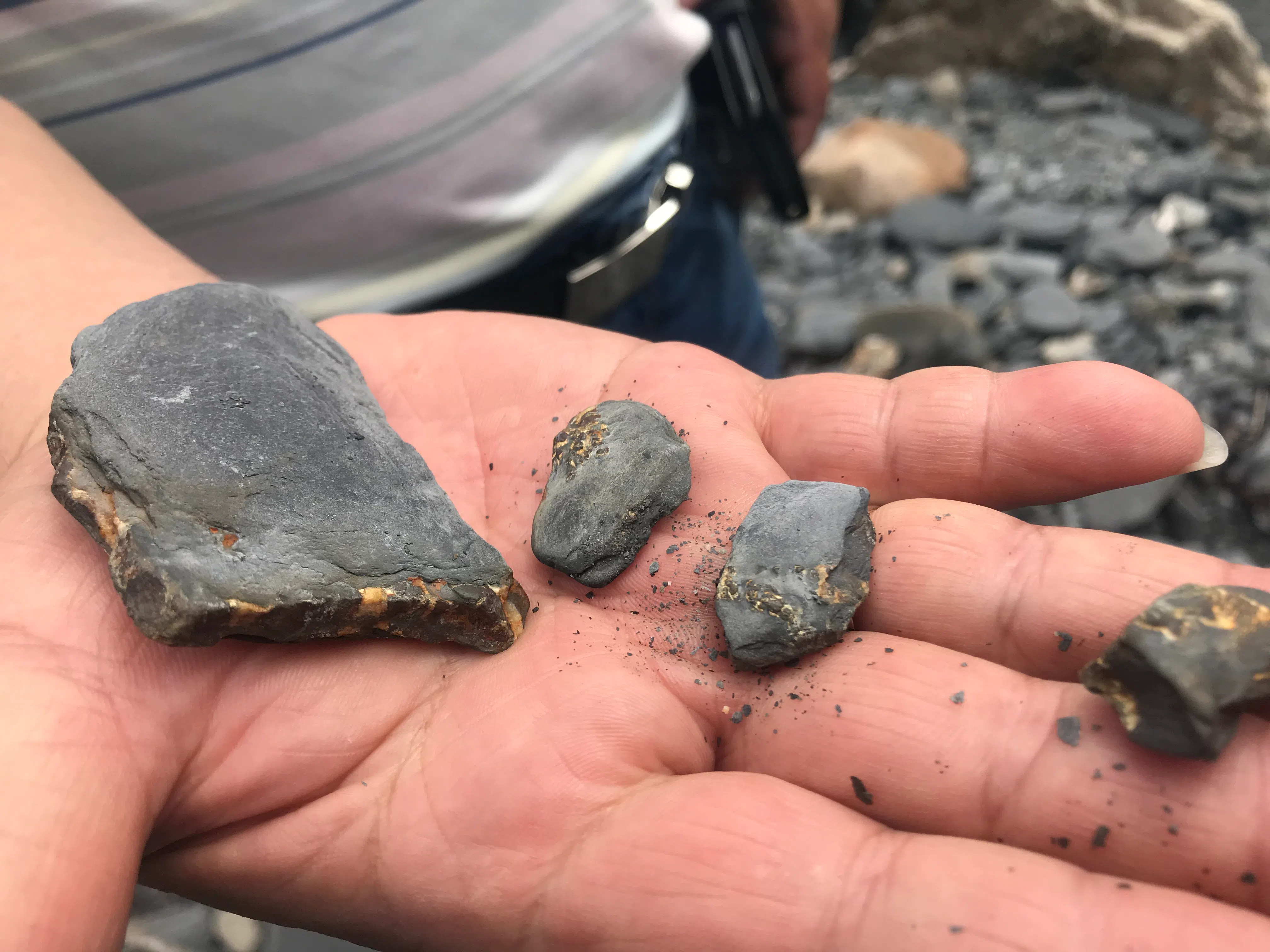 石滩上的龙纹石，含有金、铜、玉等矿物。（许月英摄）