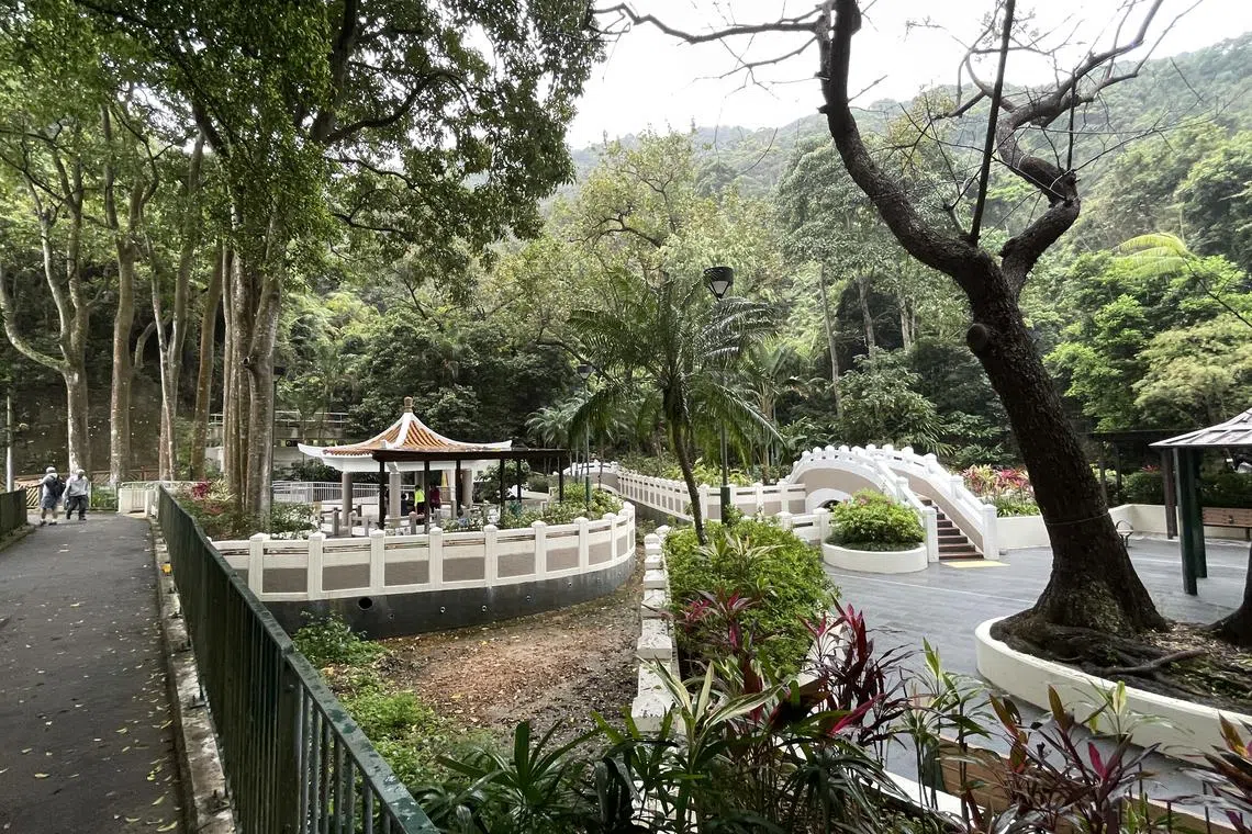 港岛宝云道上供行山客歇脚的凉亭。（章瑗摄）