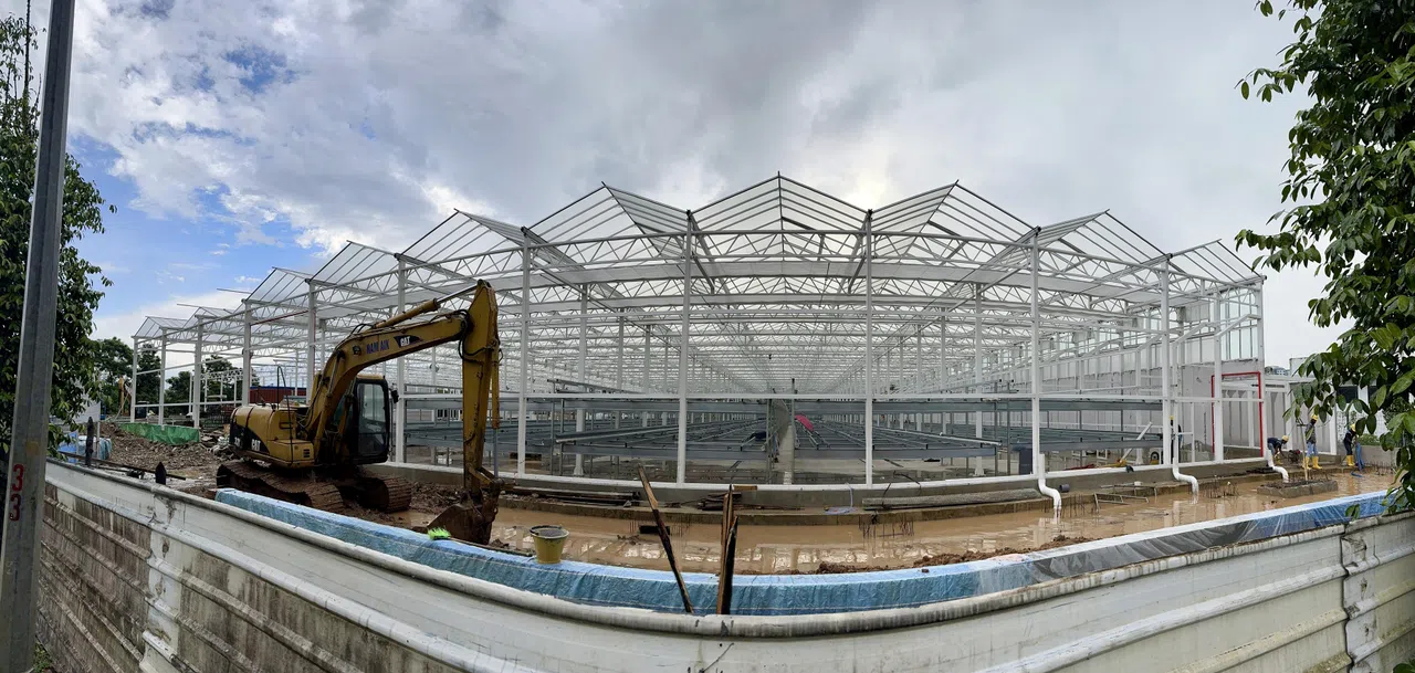 Sustenir的新农场会结合户外和室内的种植元素，既借助自然光，也会善用技术管控环境，用最少能源和水来提高生产，进而把种植成本削减至少一半。图摄于2024年底。（档案照片）