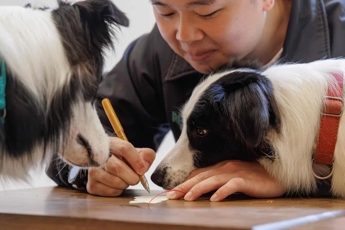 一名“宠佑宫”的客人正在为他的宠物写祈福卡。（法新社）