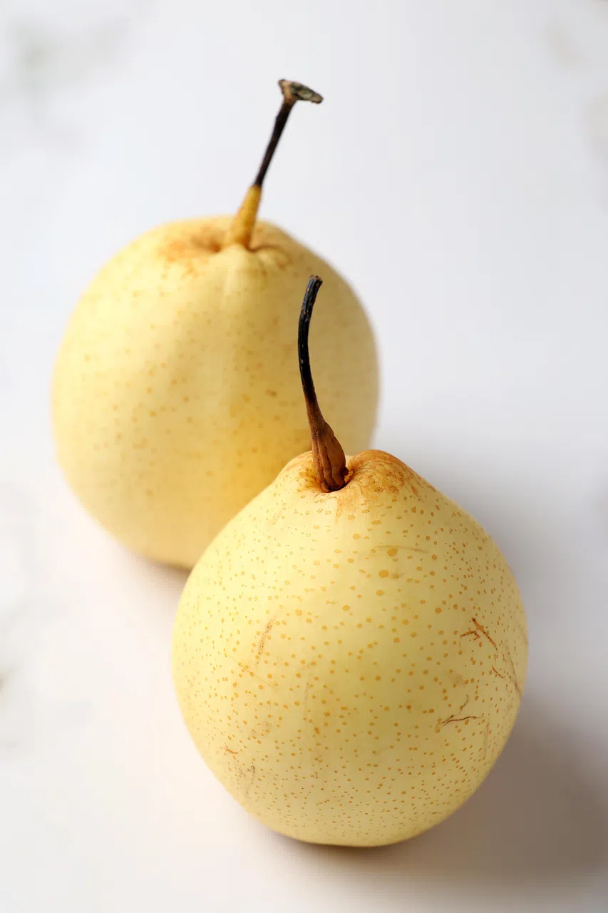 梨子含水量高达约84%，富含维生素，也含钙、碘等微量元素，有“天然矿泉水”美誉。（龙国雄摄）