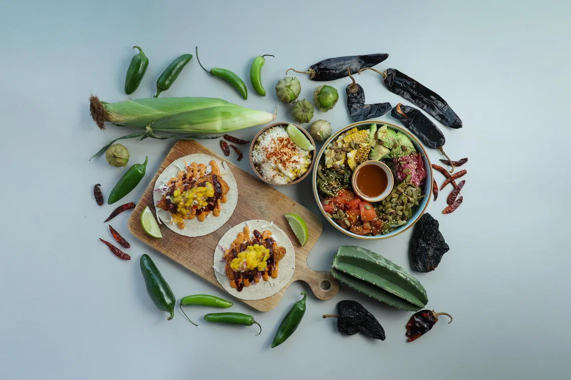 在传统墨西哥菜肴中，玉米、豆类、辣椒和仙人掌是必不可少的食材。（龙国雄摄）