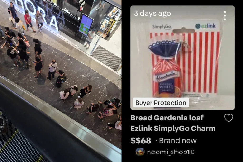 【红蚂蚁】炒卖热门商品 是有生意头脑还是道德越界？