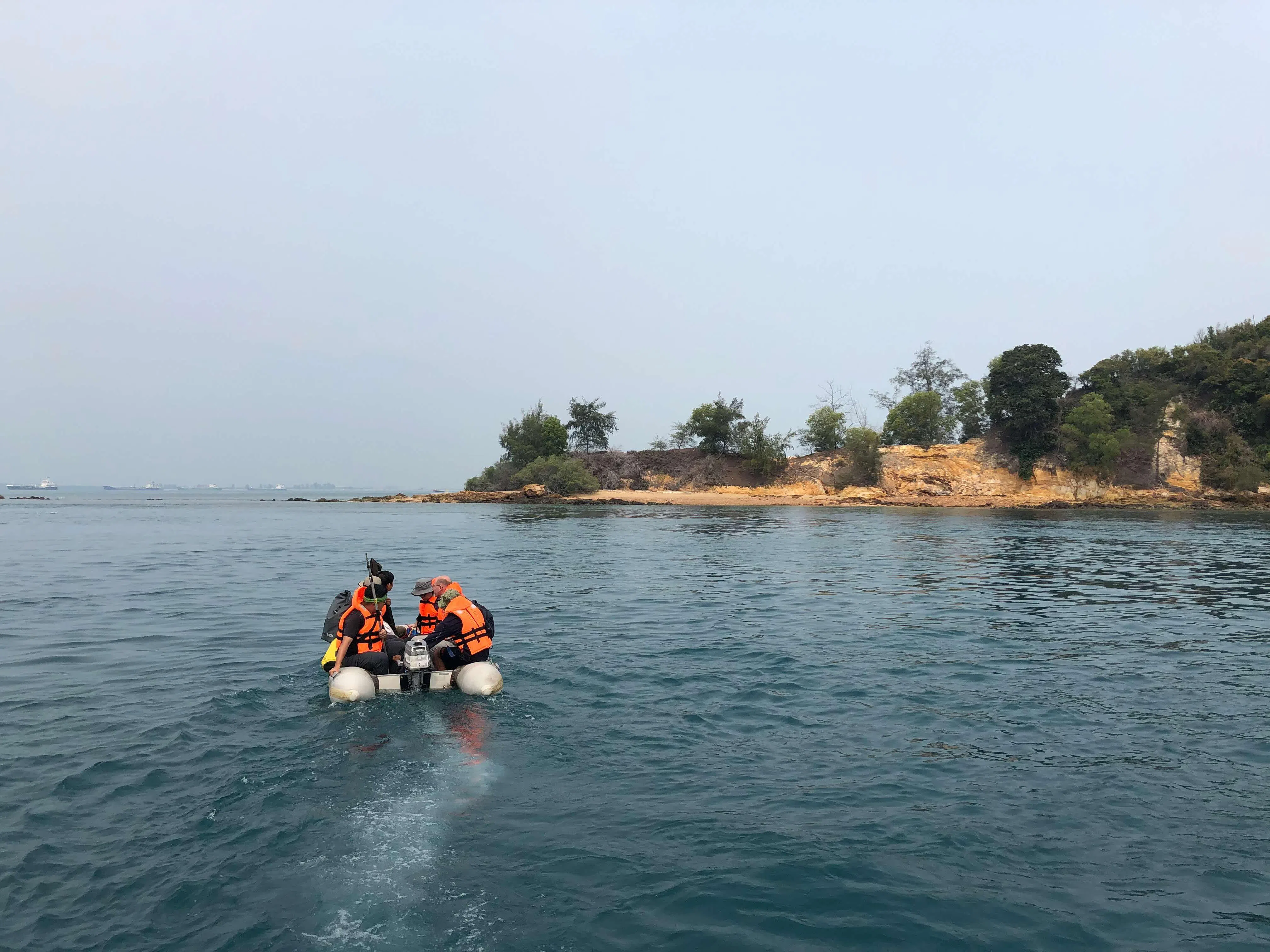 我国南部岛屿是重要的生物栖息地，孕育超过6500个动植物分类群。（陈勇豪提供）