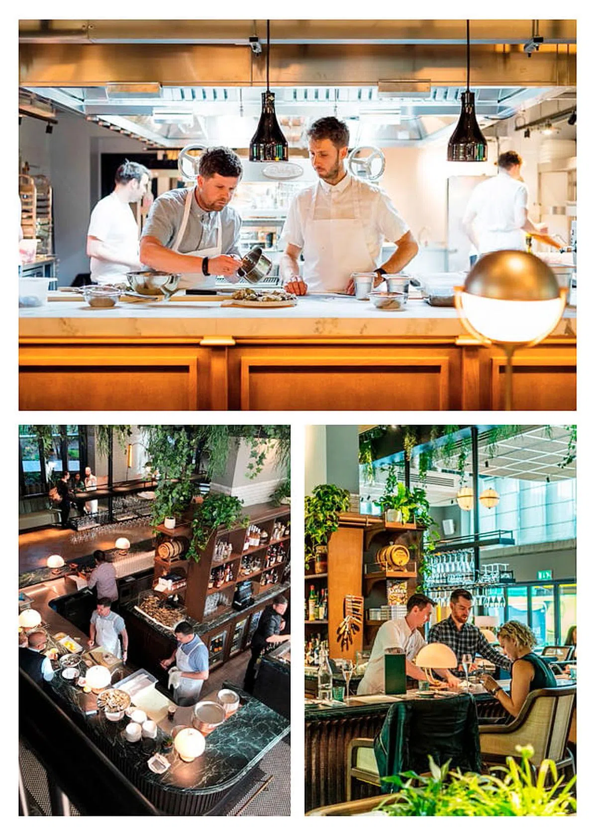 目前，使馆花园内的餐厅照常营业，图为使馆花园内备受赞誉的Robin Gill旗舰店，这家餐厅以牡蛎、烘培、烤肉和饮料闻名。（图/发展商提供）