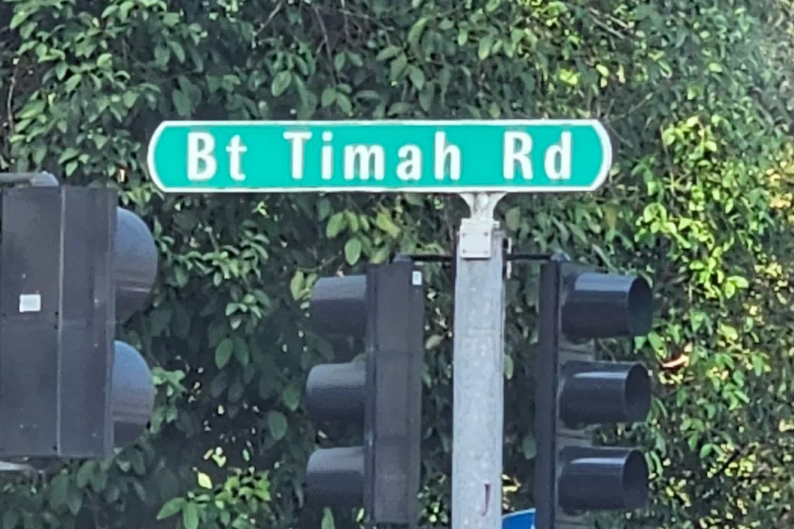 在武吉知马路的陈嘉庚地铁站和植物园地铁站之间，可找到风格迥异的餐馆。（黄亿敏摄）