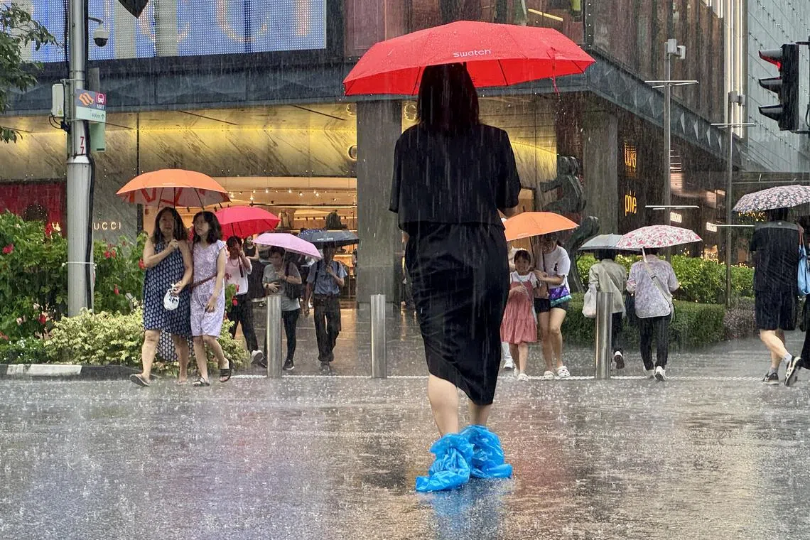 星期天（12月29日）下午，全岛各地下起倾盆大雨，包括在乌节路一带。（邝启聪摄）