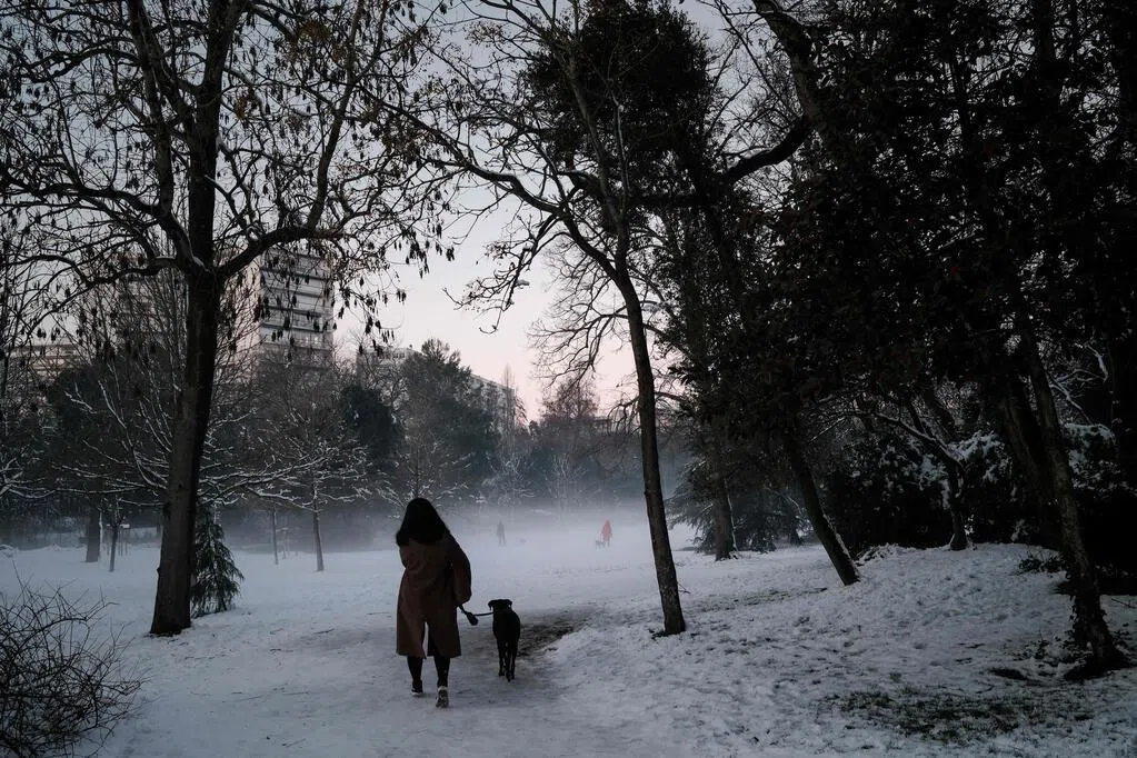 法国遭寒潮暴雪袭击 多地交通事故致五死