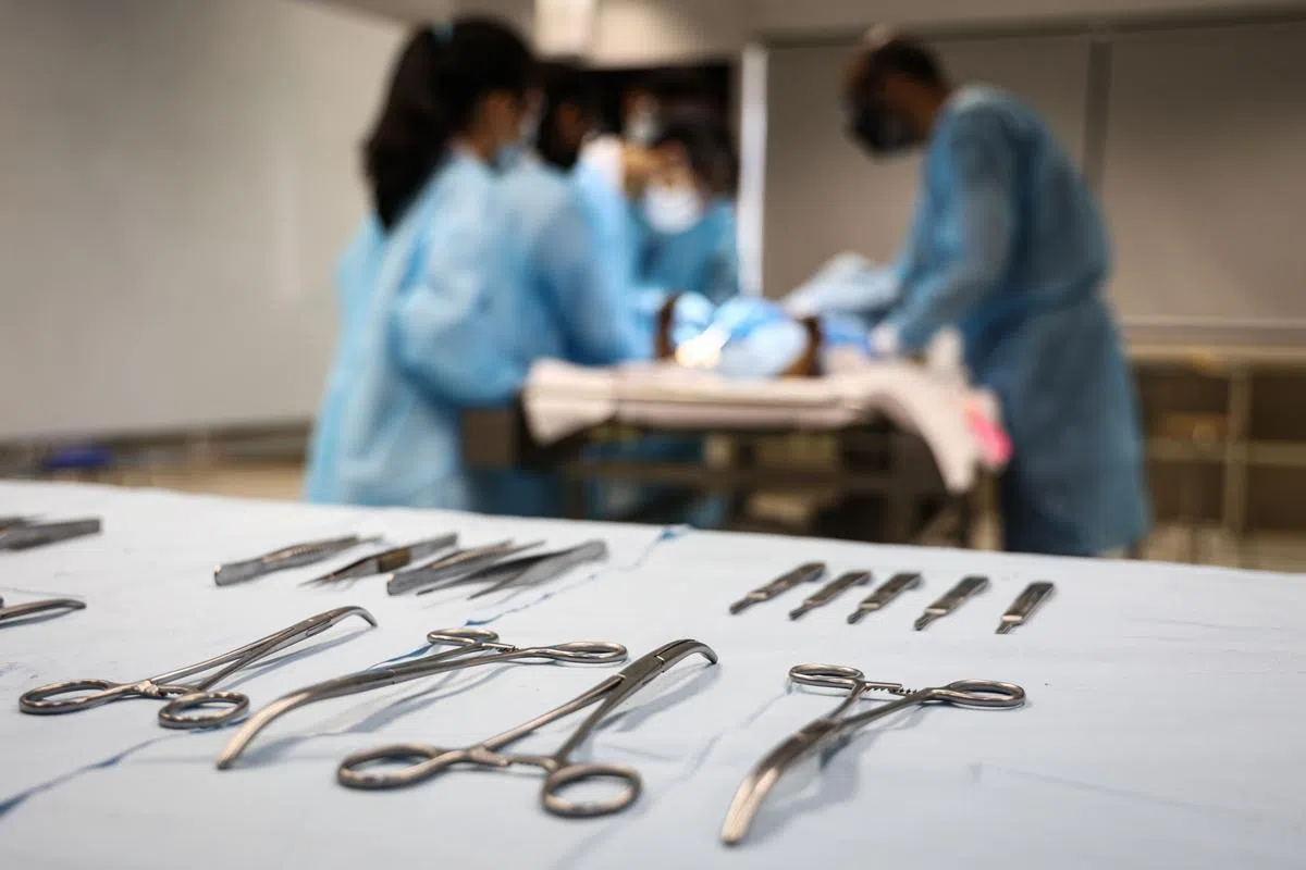 解剖使用器具。（李健玮摄）
