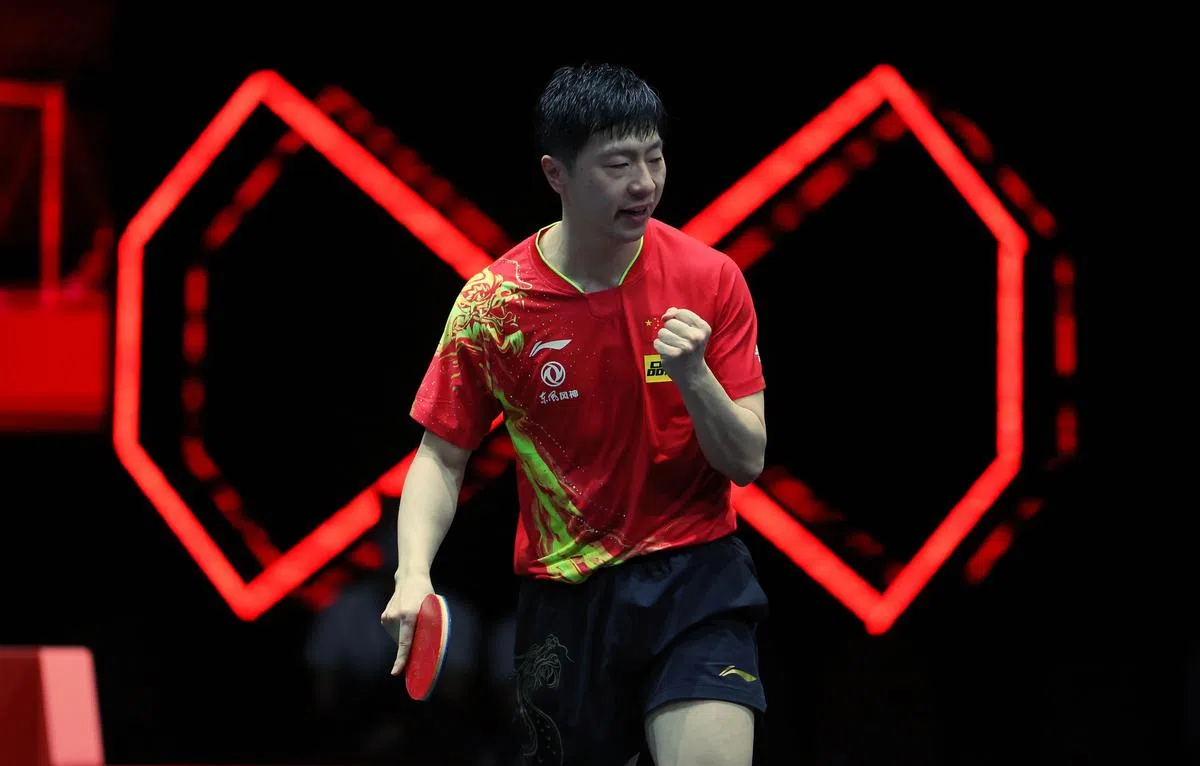 手上的这把球拍是两届奥运男单金牌得主马龙的最强“武器”，他在本届大满贯决赛与队友樊振东激战七局，以3比4遗憾落败。世界第二的马龙在下半区战胜王楚钦、林昀儒和梁靖崑等小将闯进争冠战。虽然已33岁，但他用行动和实力证明，只要心怀热爱，永远都在当打之年，他依旧是中国乒乓球队最稳的定海神针。（谢智扬摄）